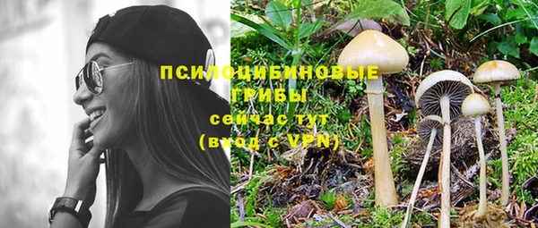 a pvp Зерноград
