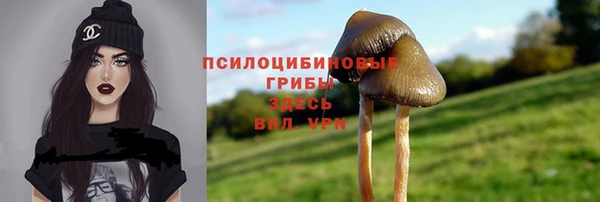 a pvp Зерноград