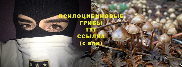 MDMA Зеленокумск