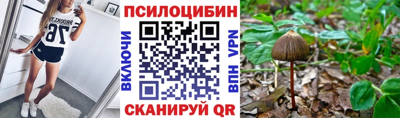 Галлюциногенные грибы прущие грибы  гидра ССЫЛКА  Камышлов 