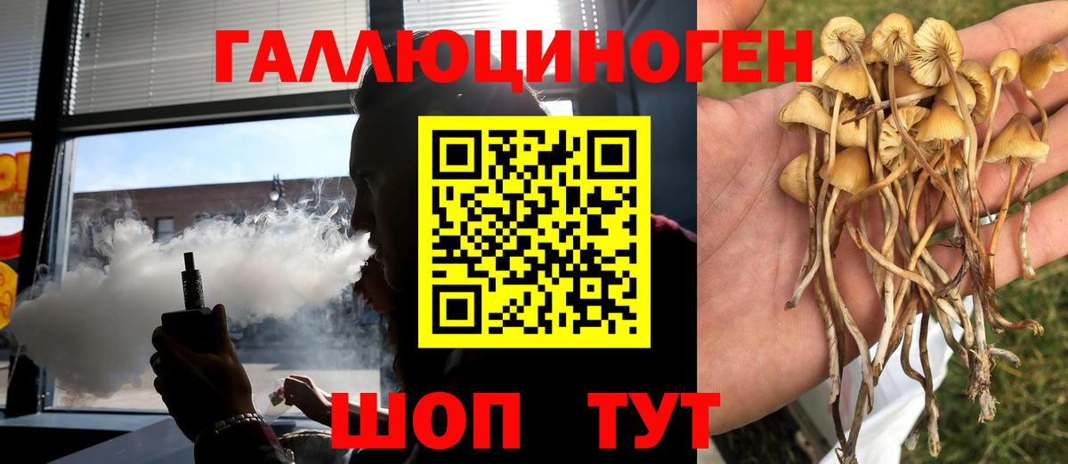 Псилоцибиновые грибы MAGIC MUSHROOMS  Вход с VPN  Камышлов 