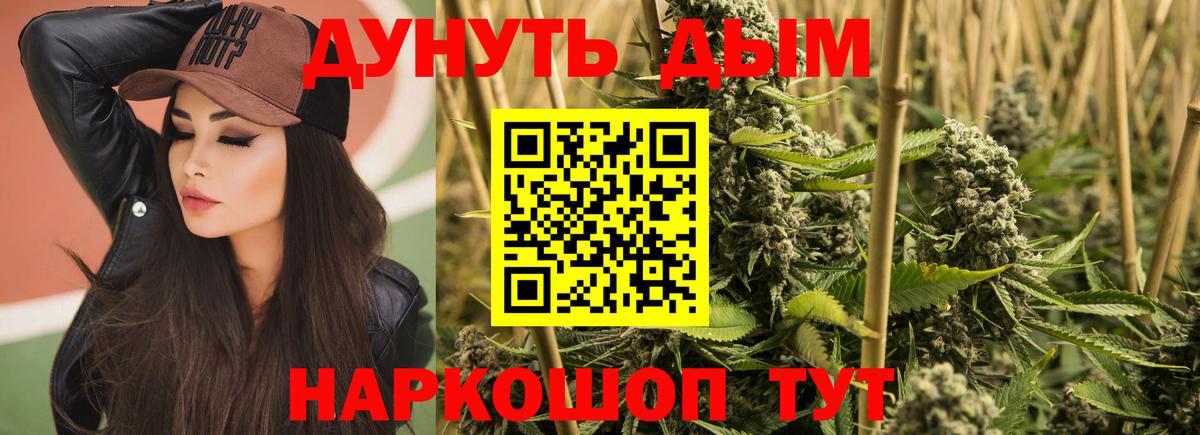 Марихуана ГИДРОПОН  МАРИХУАНА планчик  Камышлов  Канабис индика  Вход с VPN 